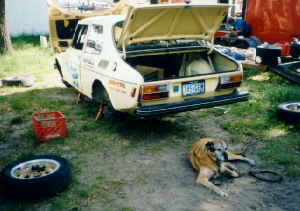 Viggen, the Rally Dog, guards the 99 racer.
